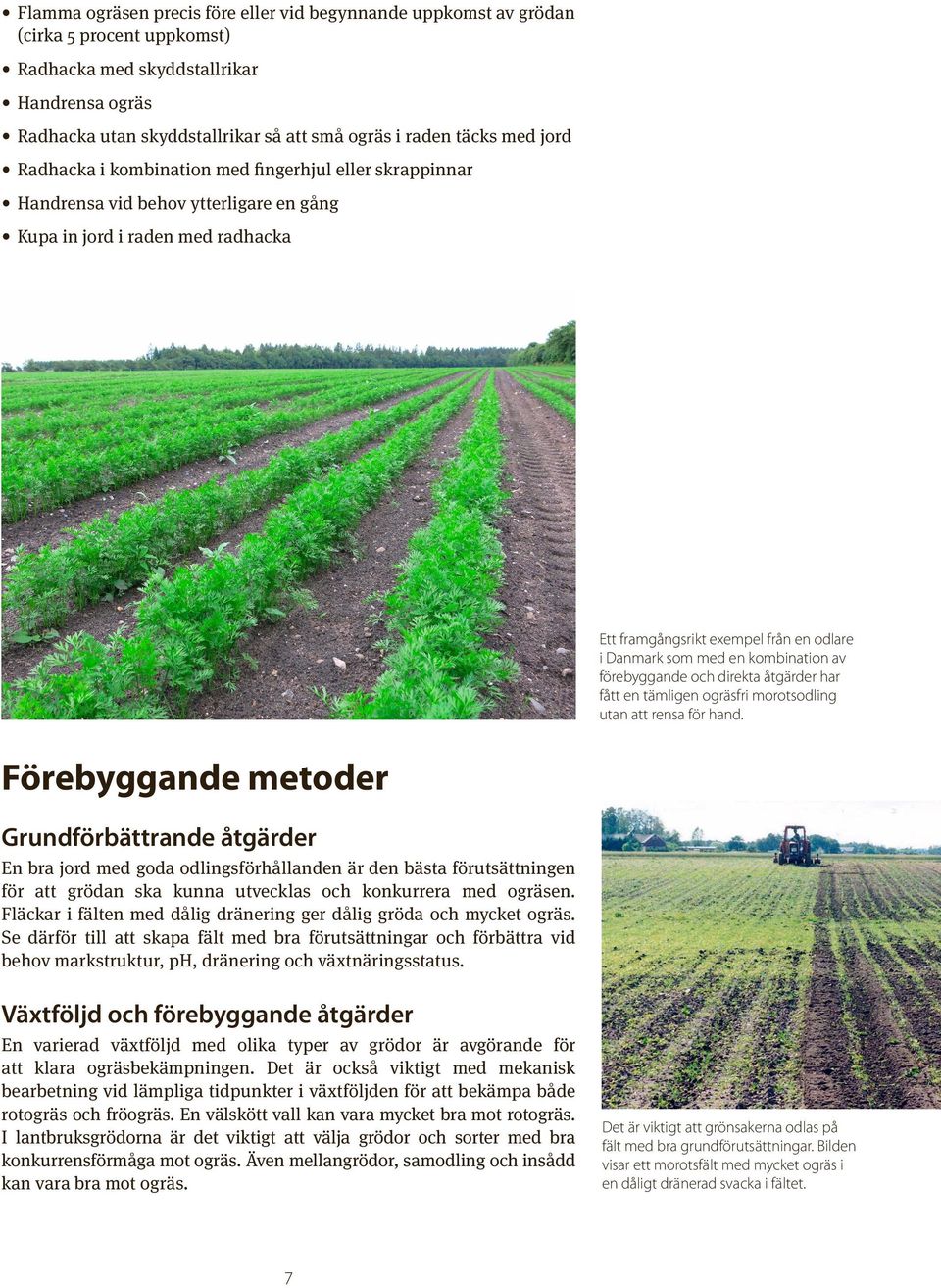 en kombination av förebyggande och direkta åtgärder har fått en tämligen ogräsfri morotsodling utan att rensa för hand.