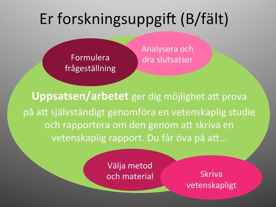 genomföra en vetenskaplig studie och rapportera om den genom aa skriva en