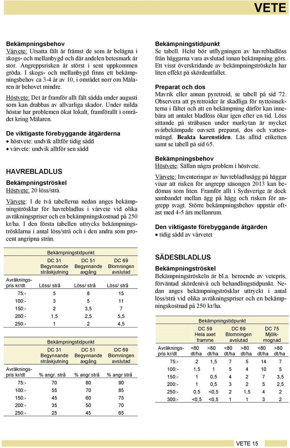 Höstvete: Det är framför allt fält sådda under augusti som kan drabbas av allvarliga skador. Under milda höstar har problemen ökat lokalt, framförallt i området kring Mälaren.