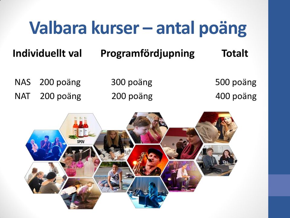 Programfördjupning Totalt NAS 200