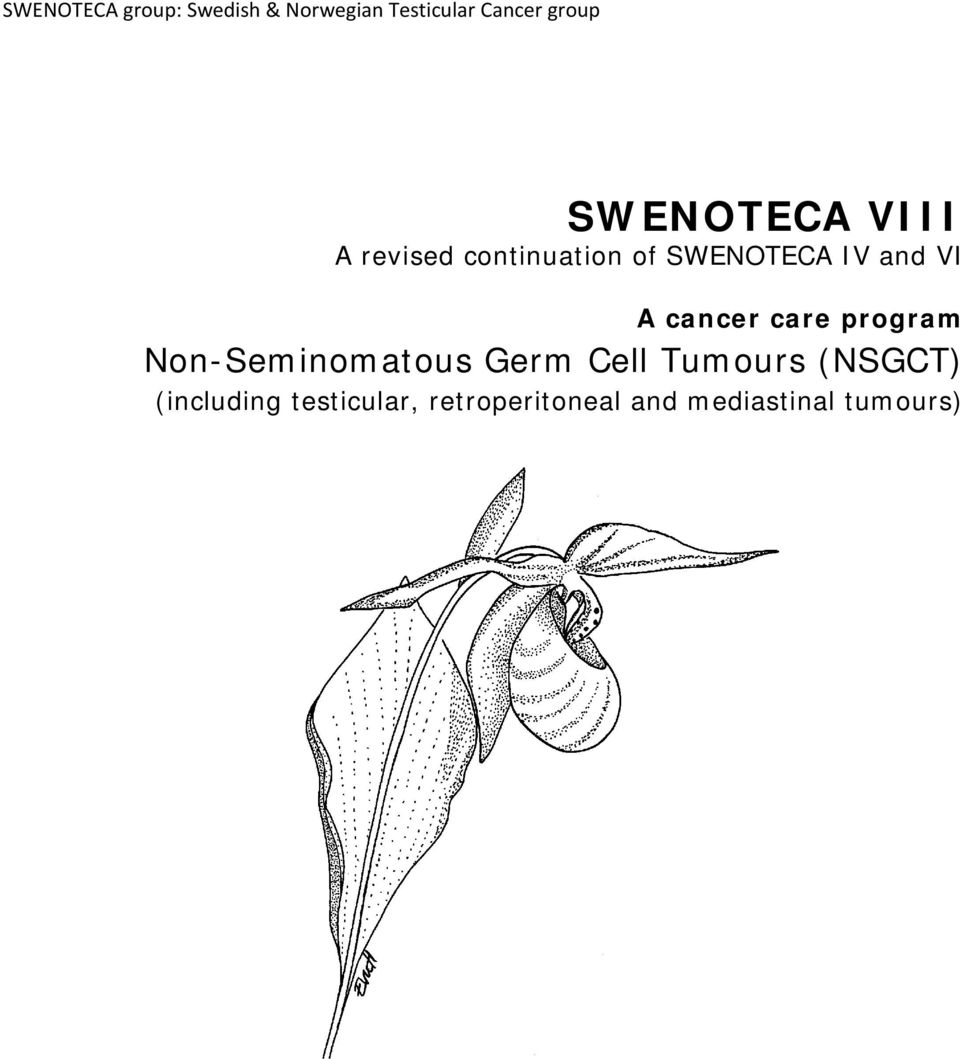 cancer care program Non-Seminomatous Germ Cell Tumours (NSGCT)