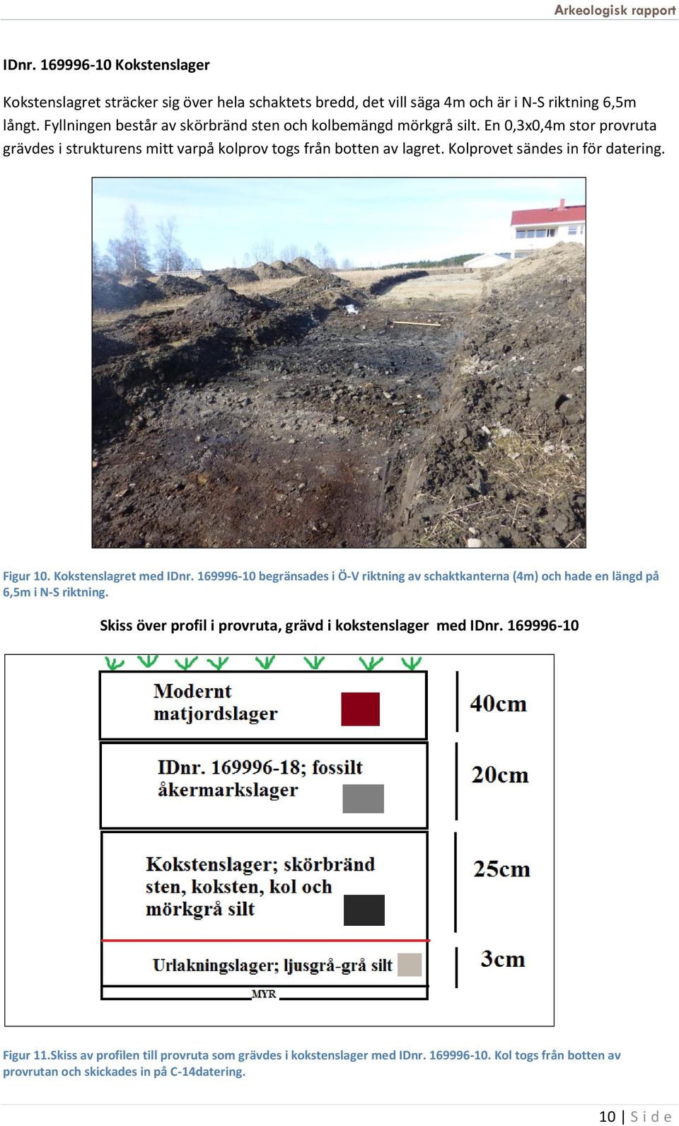 Kolprovet sändes in för datering. Figur 10. Kokstenslagret med IDnr. 169996-10 begränsades i Ö-V riktning av schaktkanterna (4m) och hade en längd på 6,5m i N-S riktning.