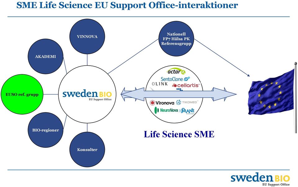 FP7 Hälsa PK Referensgrupp AKADEMI EUSO