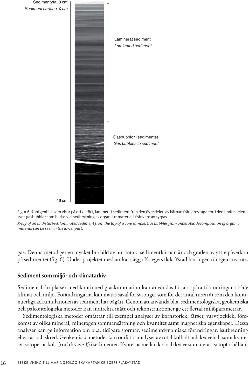 I den undre delen syns gasbubblor som bildas vid nedbrytning av organiskt material i frånvaro av syrgas. X-ray of an undisturbed, laminated sediment from the top of a core sample.