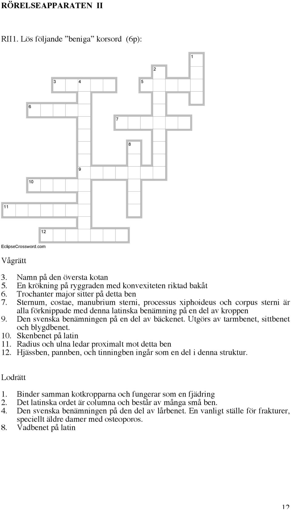 Sternum, costae, manubrium sterni, processus xiphoideus och corpus sterni är alla förknippade med denna latinska benämning på en del av kroppen 9. Den svenska benämningen på en del av bäckenet.