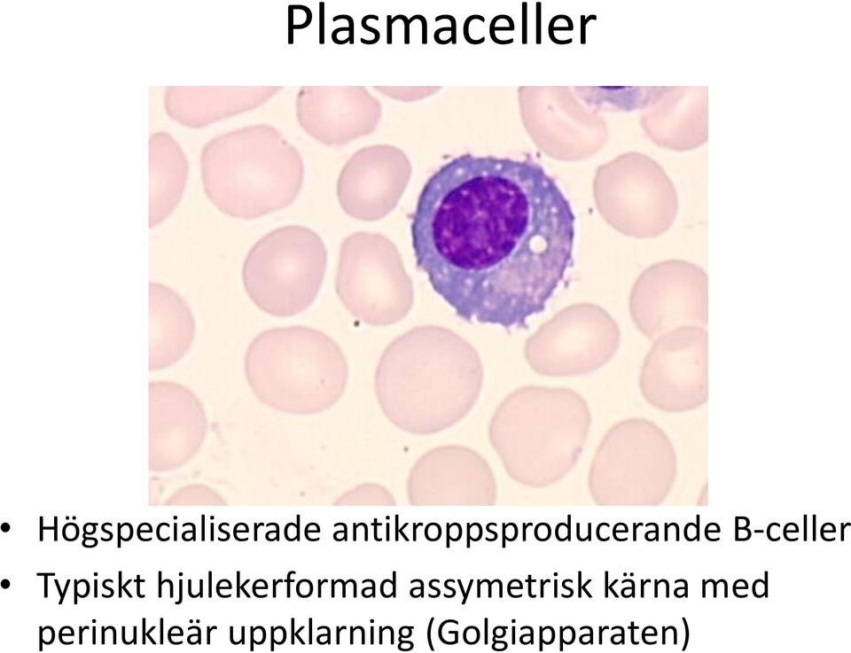 Typiskt hjulekerformad assymetrisk