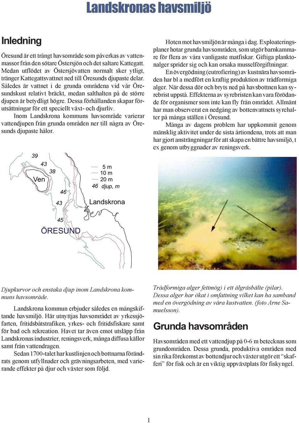 Således är vattnet i de grunda områdena vid vår Öresundskust relativt bräckt, medan salthalten på de större djupen är betydligt högre.