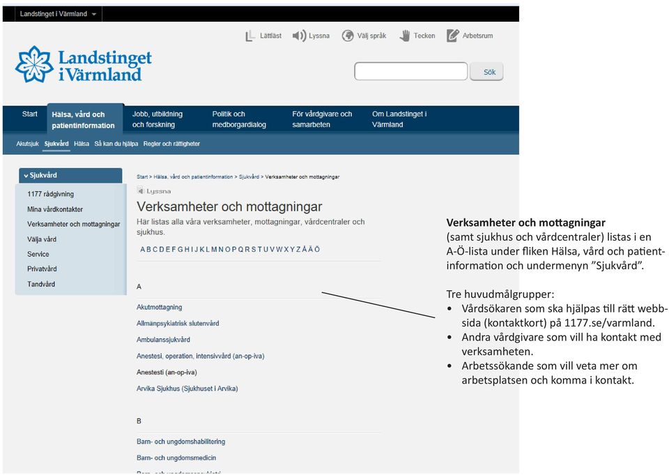 Tre huvudmålgrupper: Vårdsökaren som ska hjälpas till rätt webbsida (kontaktkort) på 1177.