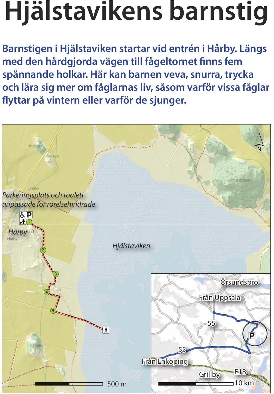 Här kan barnen veva, snurra, trycka och lära sig mer om fåglarnas liv, såsom varför vissa fåglar flyttar på vintern