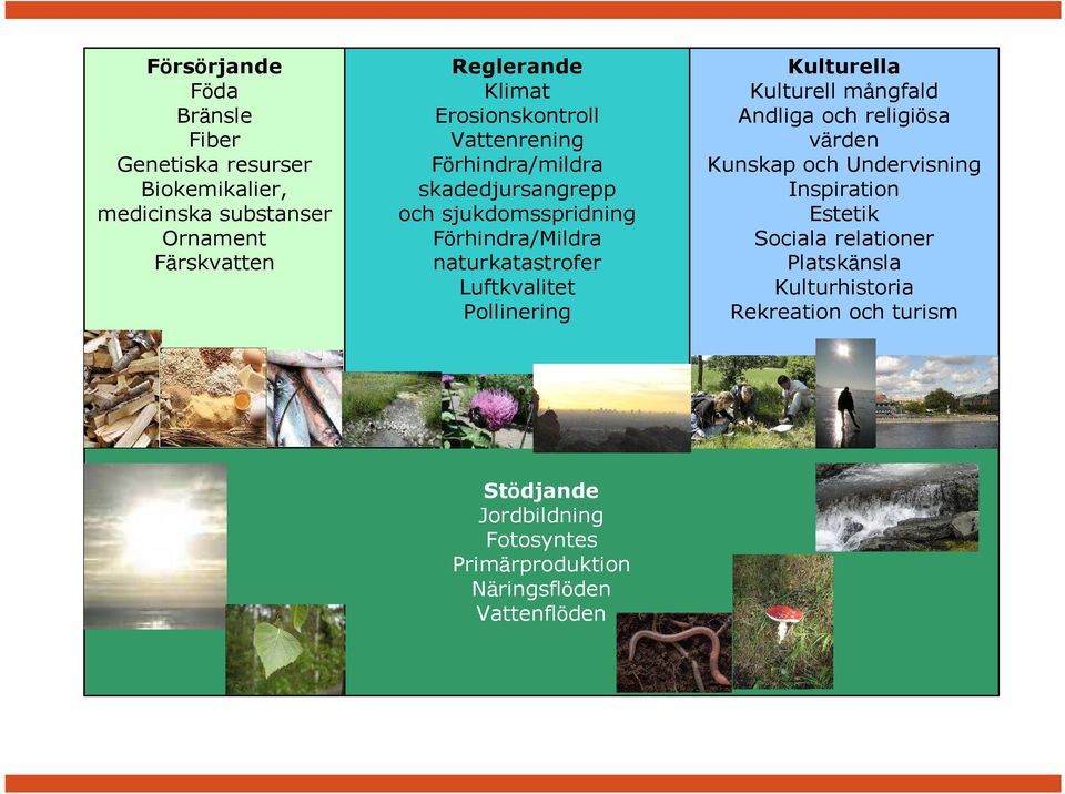 Luftkvalitet Pollinering Kulturella Kulturell mångfald Andliga och religiösa värden Kunskap och Undervisning Inspiration Estetik