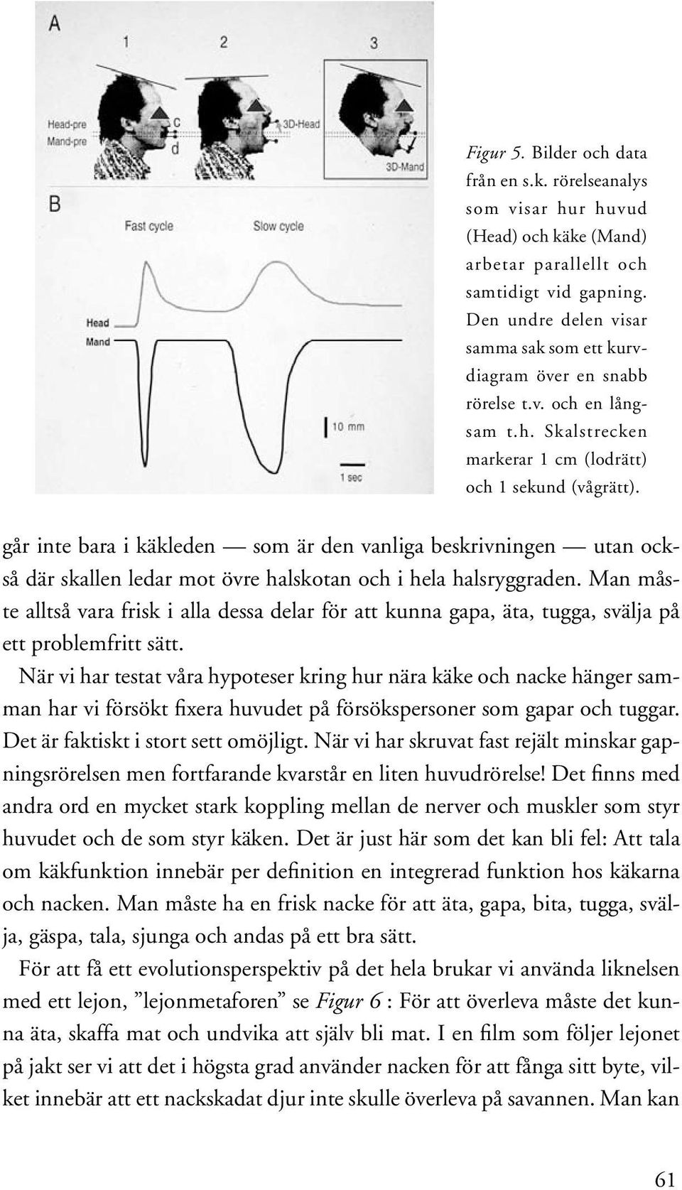 går inte bara i käkleden som är den vanliga beskrivningen utan också där skallen ledar mot övre halskotan och i hela halsryggraden.