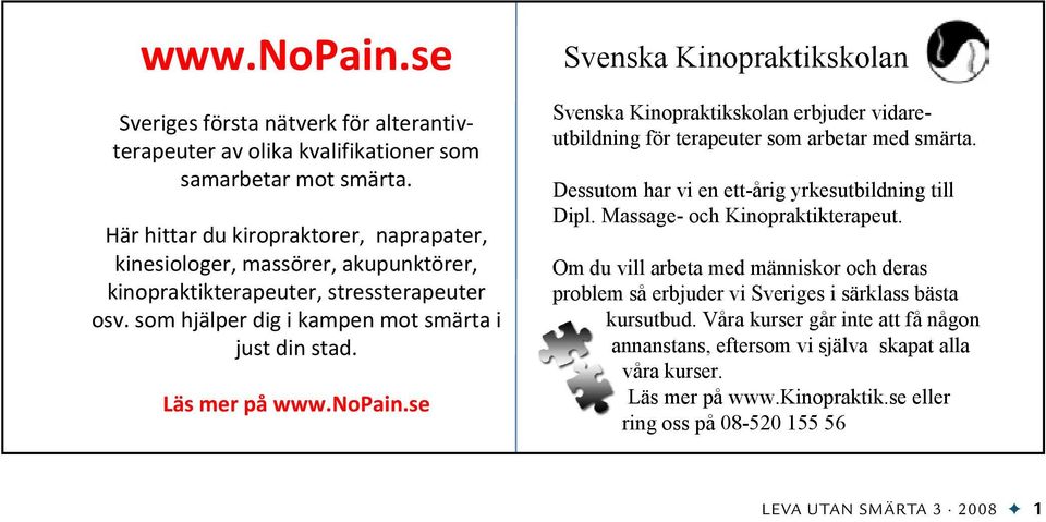 se Svenska Kinopraktikskolan Svenska Kinopraktikskolan erbjuder vidareutbildning för terapeuter som arbetar med smärta. Dessutom har vi en ett-årig yrkesutbildning till Dipl.