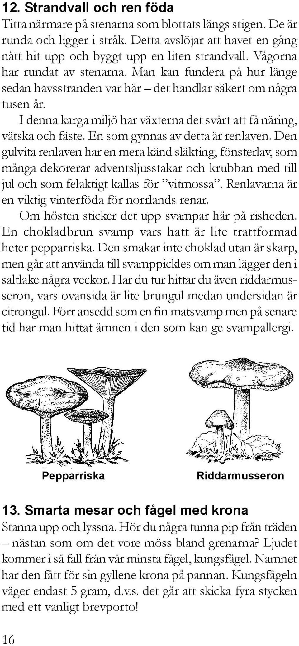 I denna karga miljö har växterna det svårt att få näring, vätska och fäste. En som gynnas av detta är renlaven.