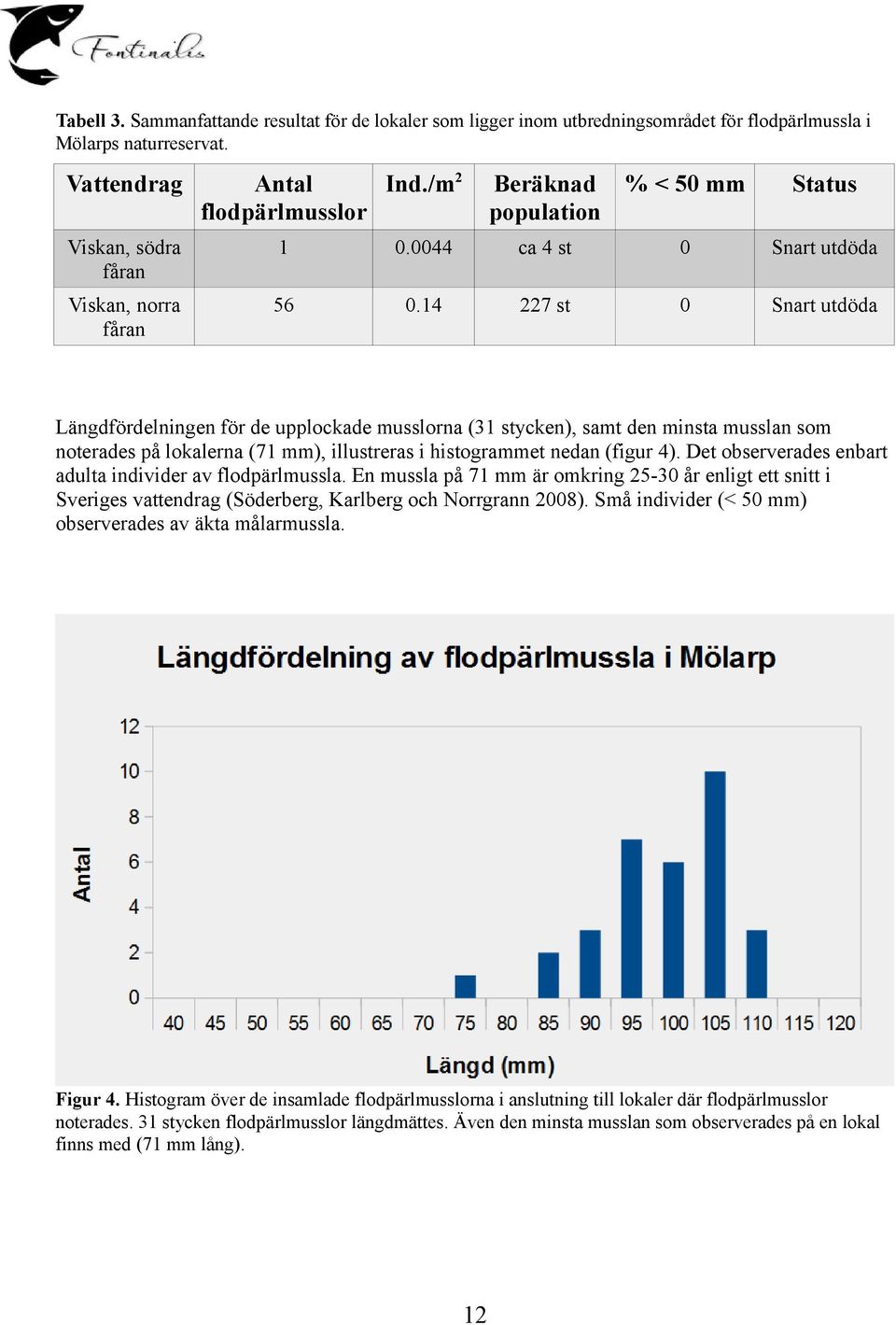 14 227 st Snart utdöda Längdfördelningen för de upplockade musslorna (31 stycken), samt den minsta musslan som noterades på lokalerna (71 mm), illustreras i histogrammet nedan (figur 4).