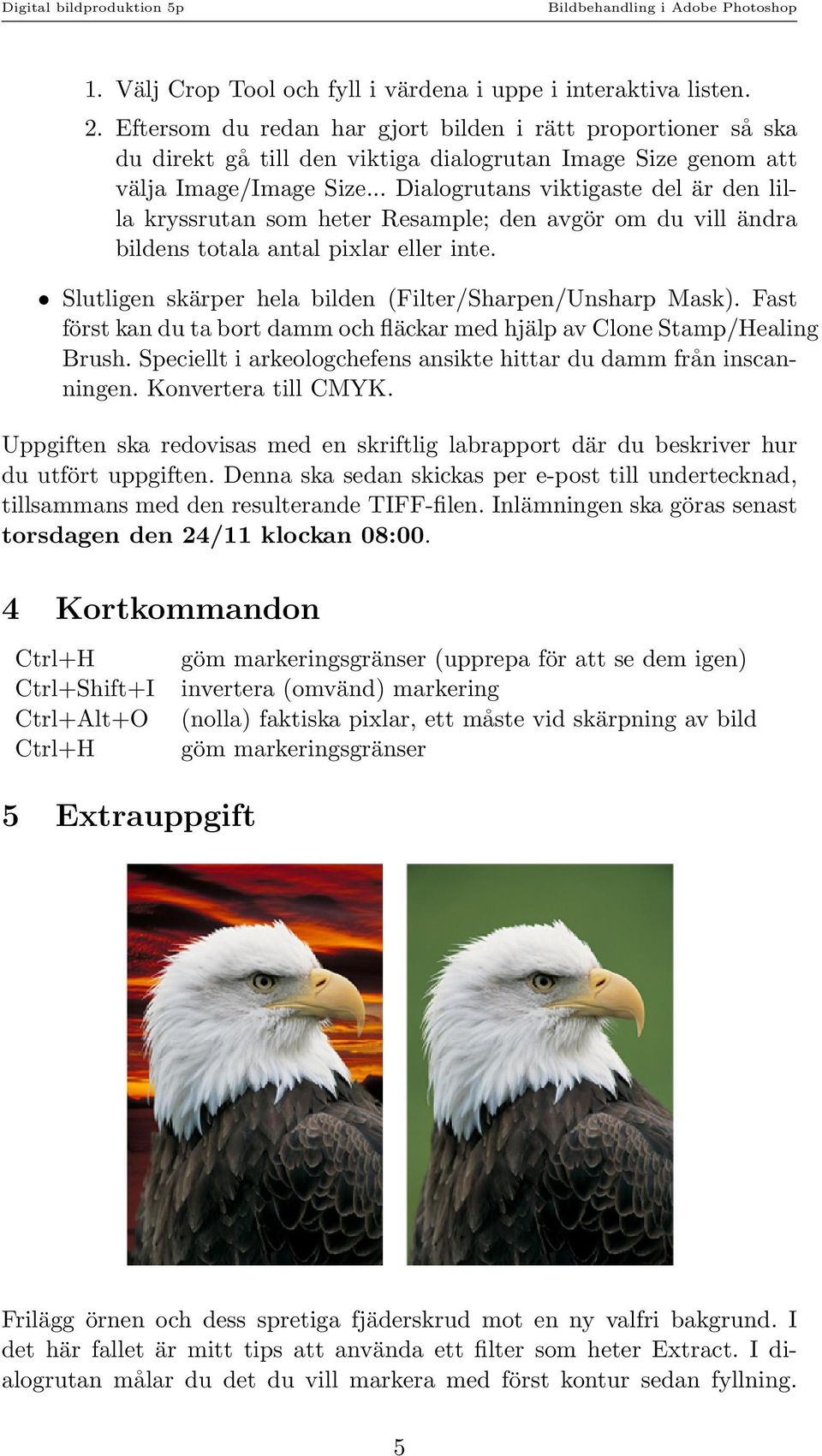 .. Dialogrutans viktigaste del är den lilla kryssrutan som heter Resample; den avgör om du vill ändra bildens totala antal pixlar eller inte.