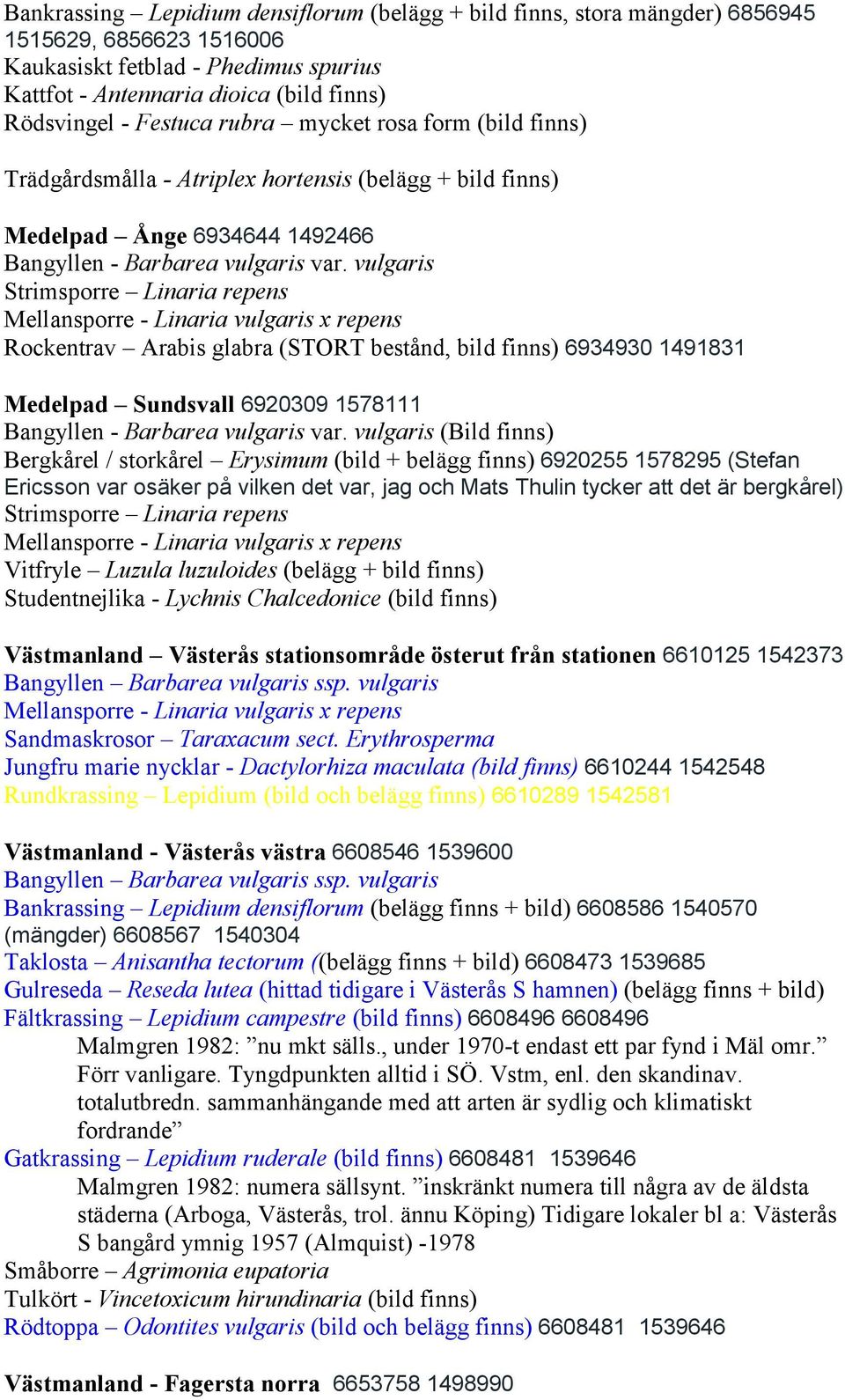 vulgaris Rockentrav Arabis glabra (STORT bestånd, bild finns) 6934930 1491831 Medelpad Sundsvall 6920309 1578111 Bangyllen - Barbarea vulgaris var.