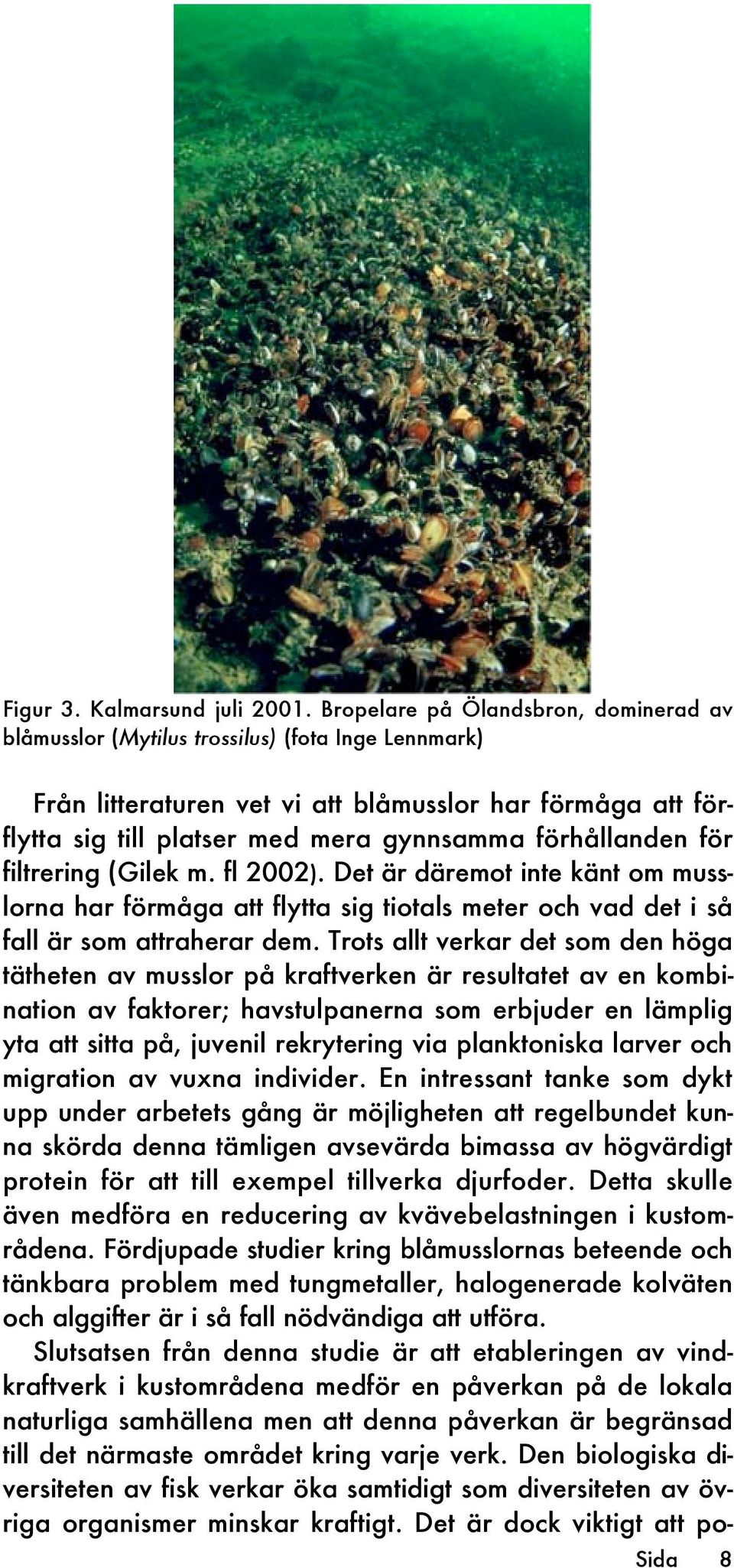 förhållanden för filtrering (Gilek m. fl 2002). Det är däremot inte känt om musslorna har förmåga att flytta sig tiotals meter och vad det i så fall är som attraherar dem.