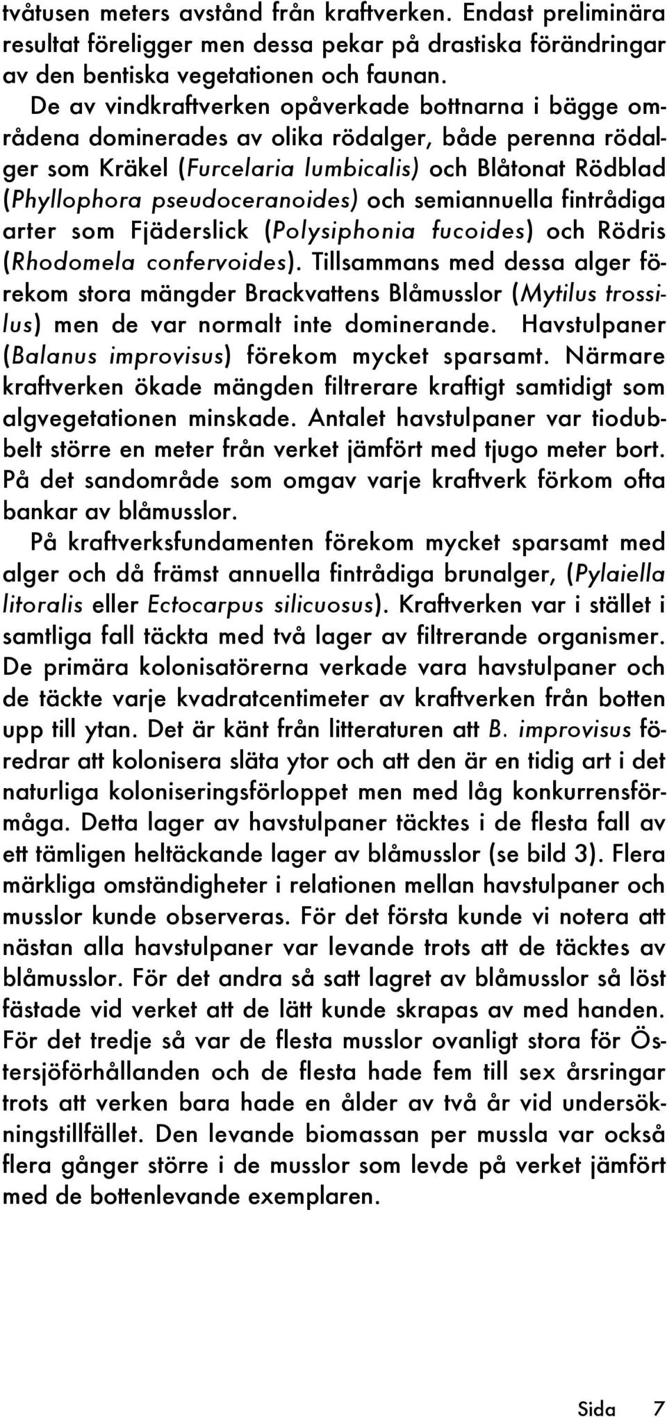 och semiannuella fintrådiga arter som Fjäderslick (Polysiphonia fucoides) och Rödris (Rhodomela confervoides).