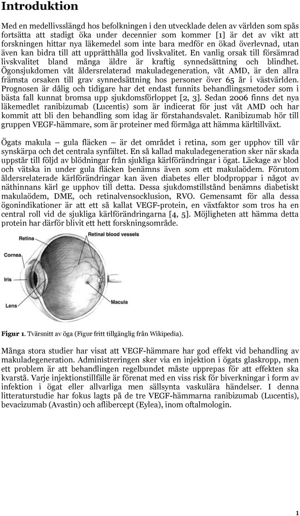 En vanlig orsak till försämrad livskvalitet bland många äldre är kraftig synnedsättning och blindhet.