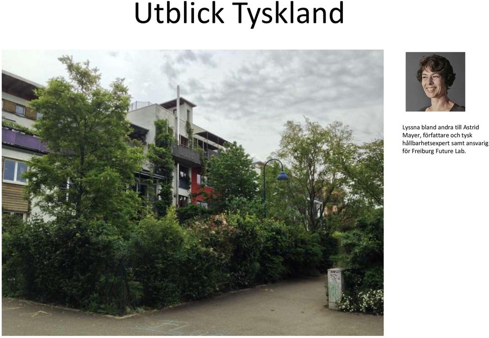 författare och tysk