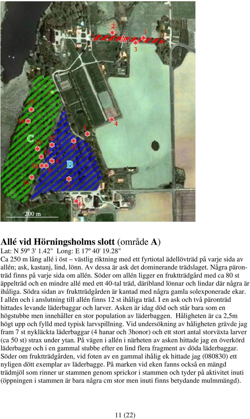 Några päronträd finns på varje sida om allén. Söder om allén ligger en fruktträdgård med ca 80 st äppelträd och en mindre allé med ett 40-tal träd, däribland lönnar och lindar där några är ihåliga.