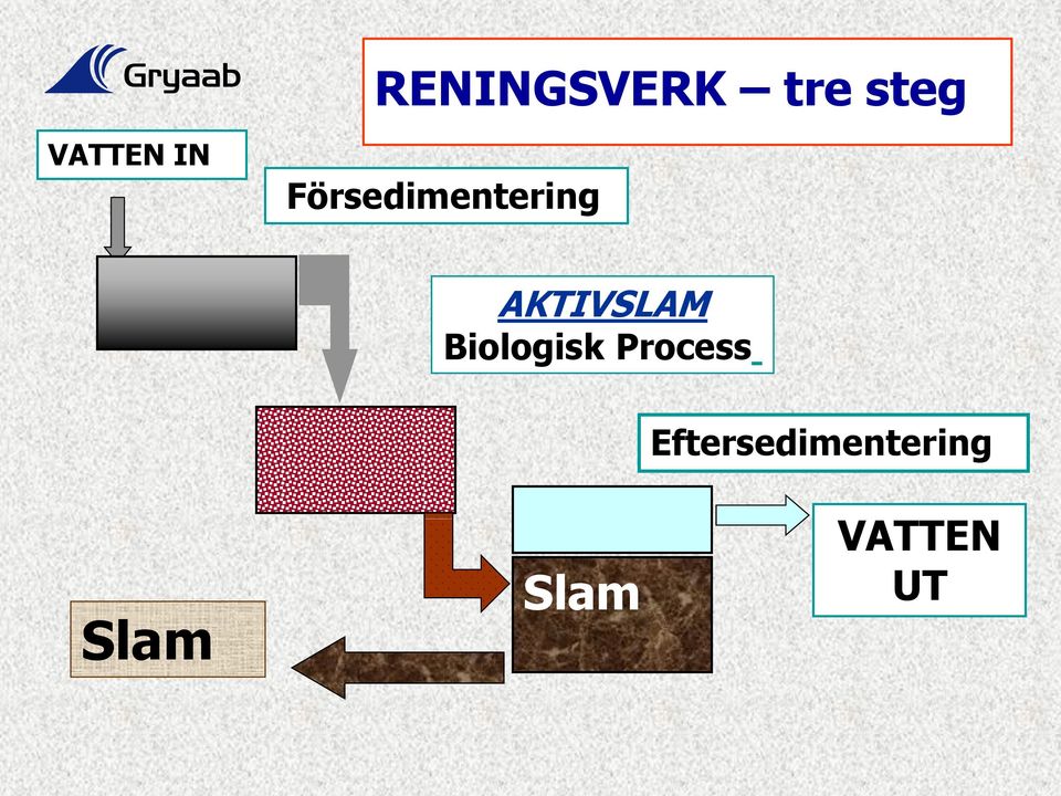 AKTIVSLAM Biologisk Process