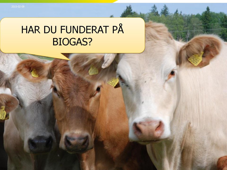 PÅ BIOGAS?