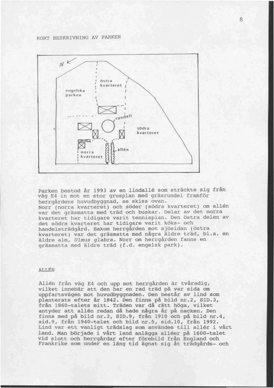 Norr (norra kvarteret) och söder (södra kvarteret) om allen var det gräsmatta med träd och buskar. Delar av det norra kvarteret har tidigare varit tennisplan.