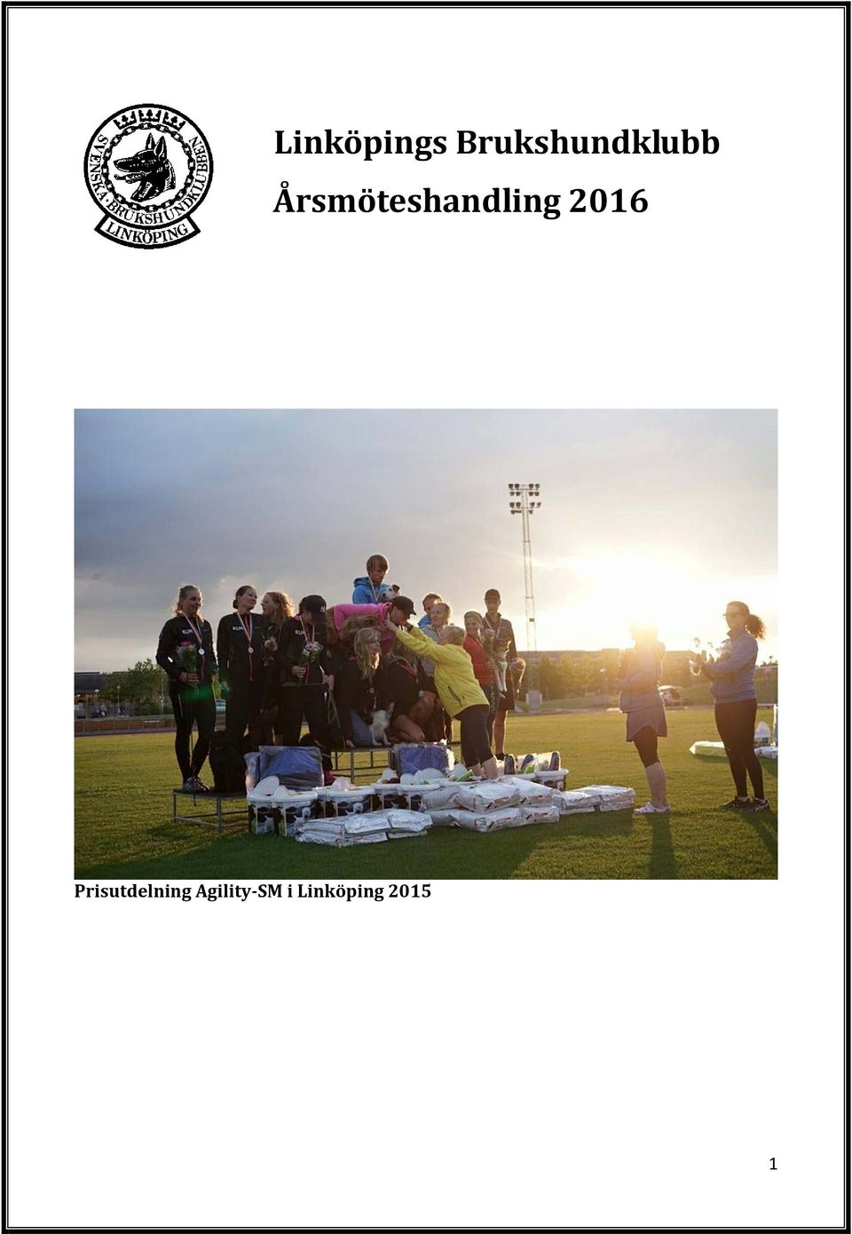 Årsmöteshandling 2016