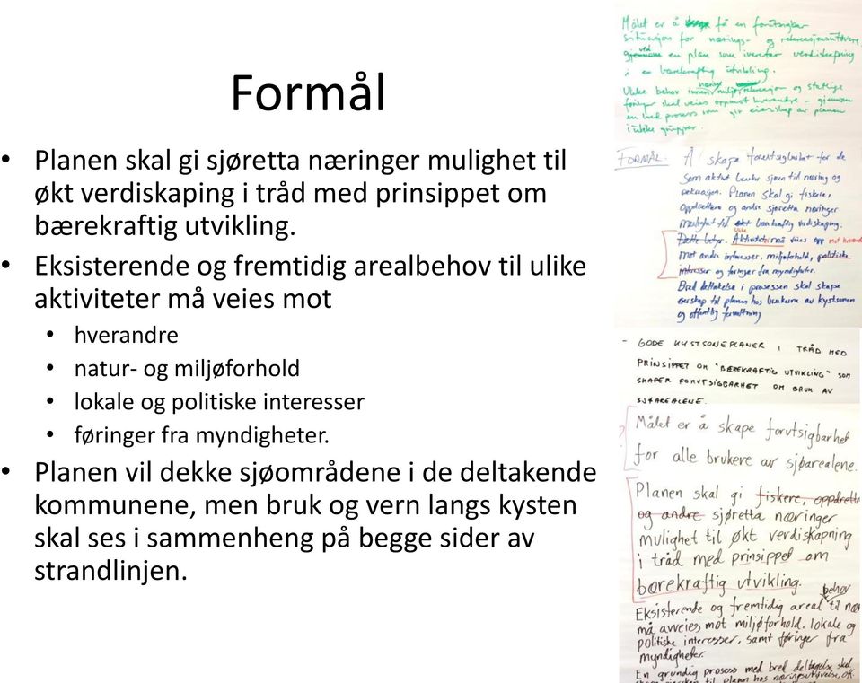 Eksisterende og fremtidig arealbehov til ulike aktiviteter må veies mot hverandre natur- og miljøforhold