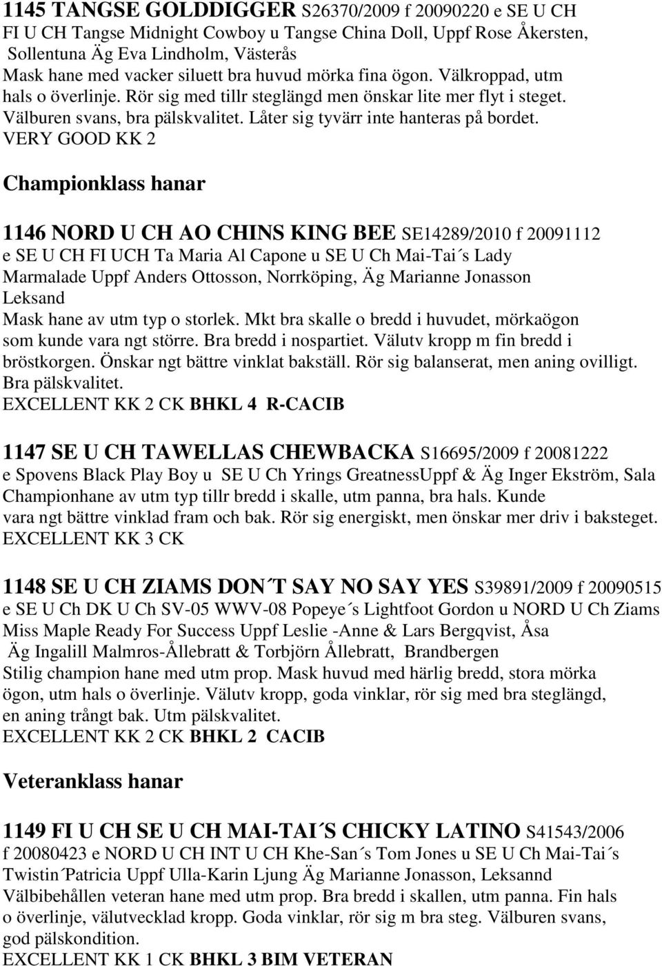 VERY GOOD KK 2 Championklass hanar 1146 NORD U CH AO CHINS KING BEE SE14289/2010 f 20091112 e SE U CH FI UCH Ta Maria Al Capone u SE U Ch Mai-Tai s Lady Marmalade Uppf Anders Ottosson, Norrköping, Äg