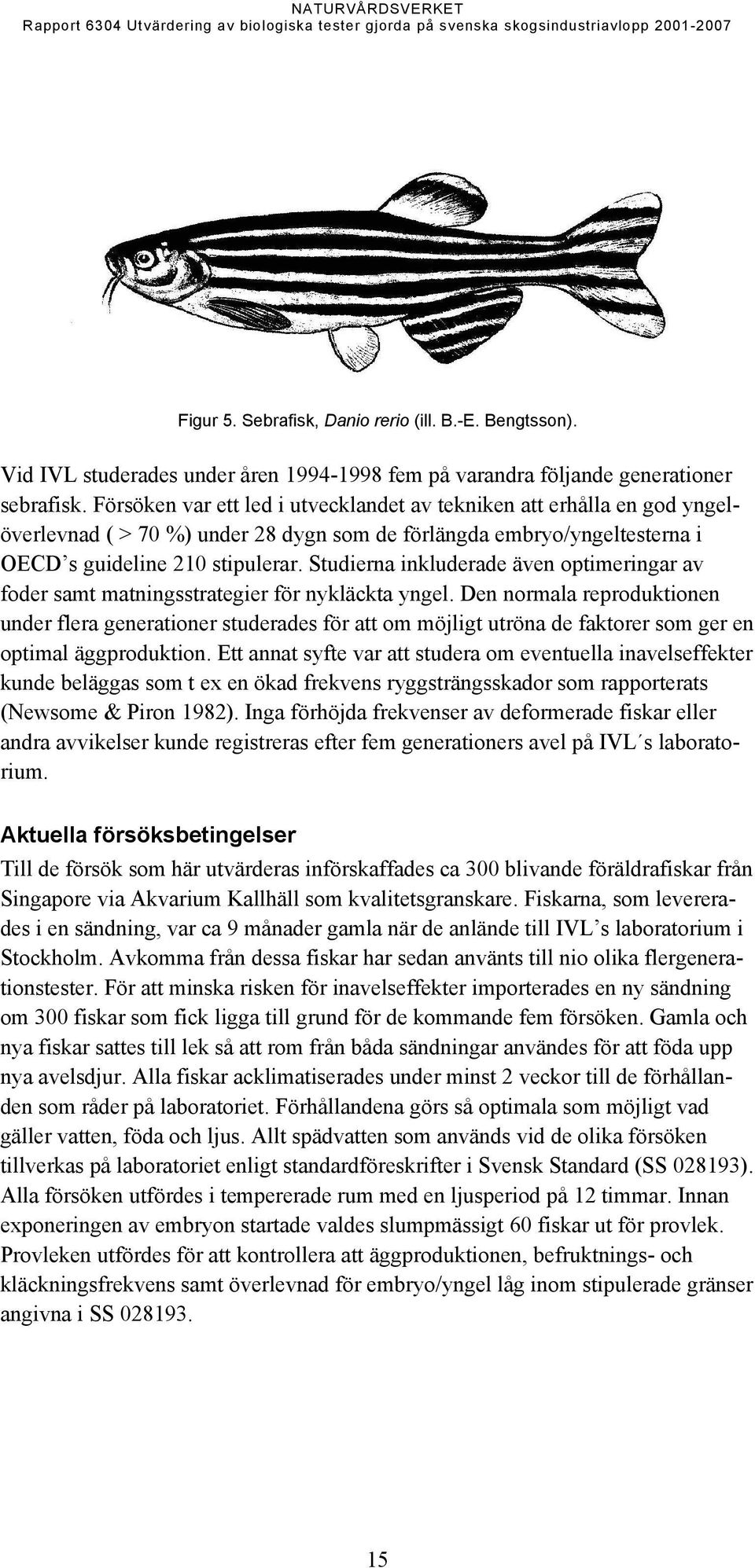 Studierna inkluderade även optimeringar av foder samt matningsstrategier för nykläckta yngel.