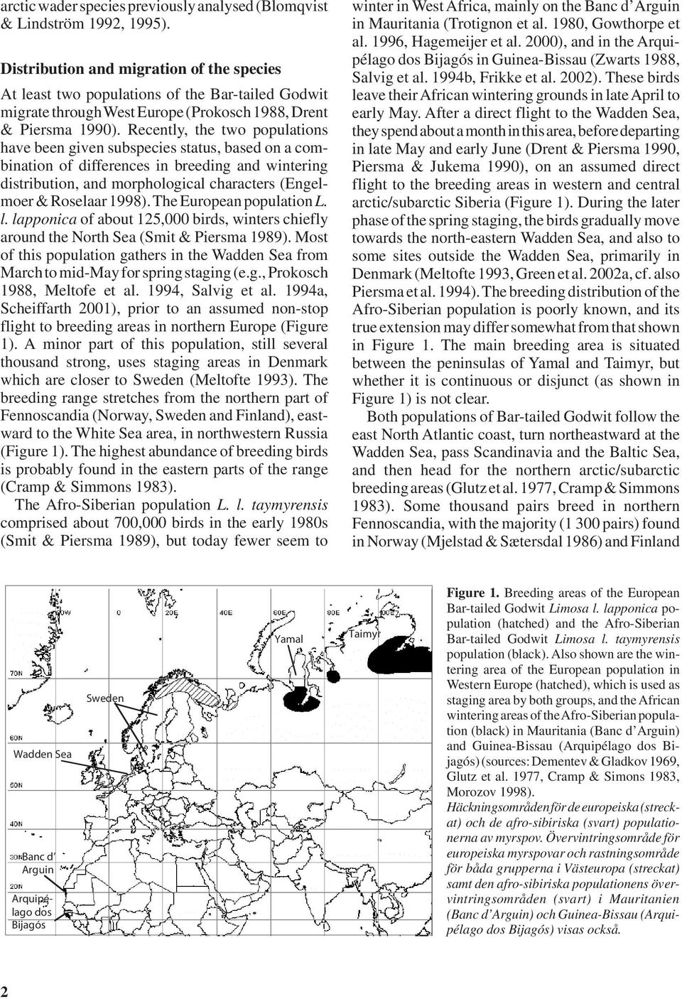 Recently, the two populations have been given subspecies status, based on a combination of differences in breeding and wintering distribution, and morphological characters (Engelmoer & Roselaar 1998).