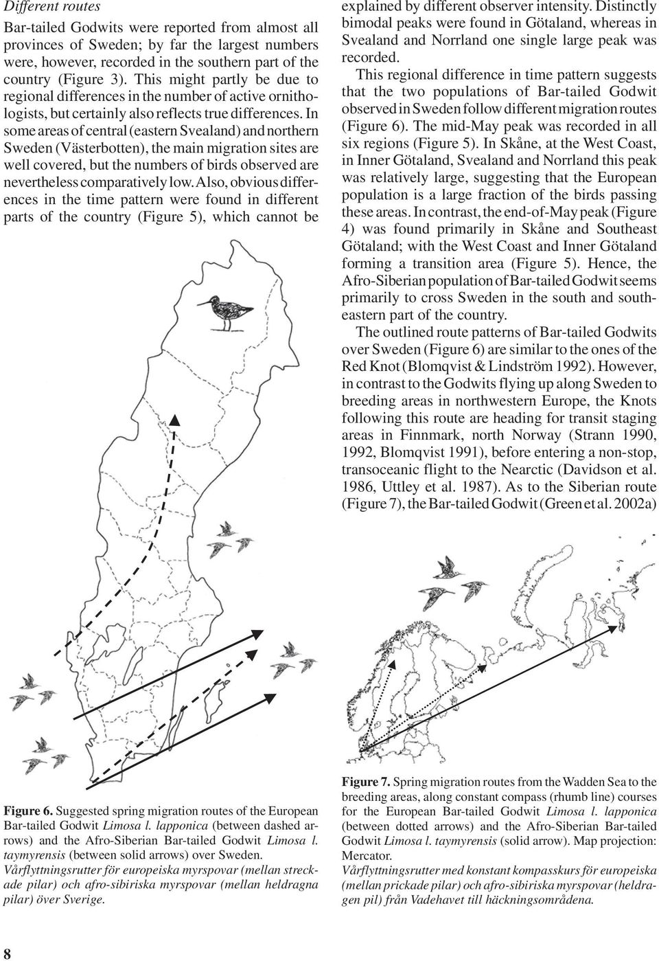 In some areas of central (eastern Svealand) and northern Sweden (Västerbotten), the main migration sites are well covered, but the numbers of birds observed are nevertheless comparatively low.