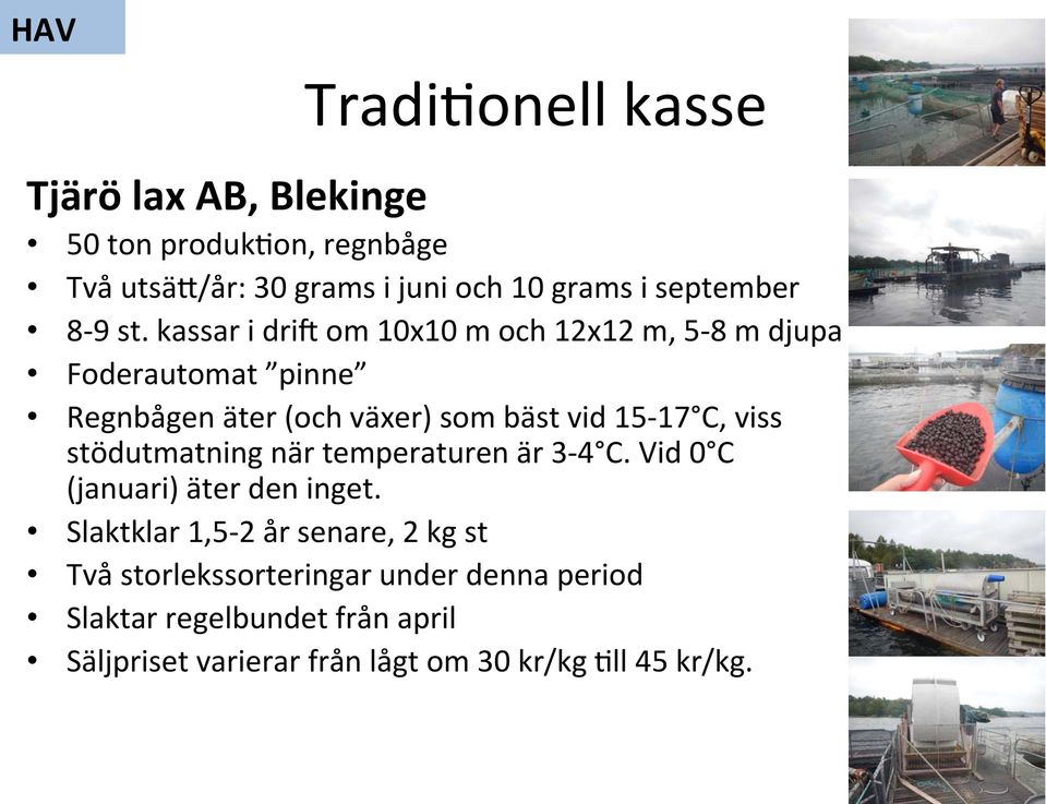 kassar i dria om 10x10 m och 12x12 m, 5-8 m djupa Foderautomat pinne Regnbågen äter (och växer) som bäst vid 15-17 C, viss