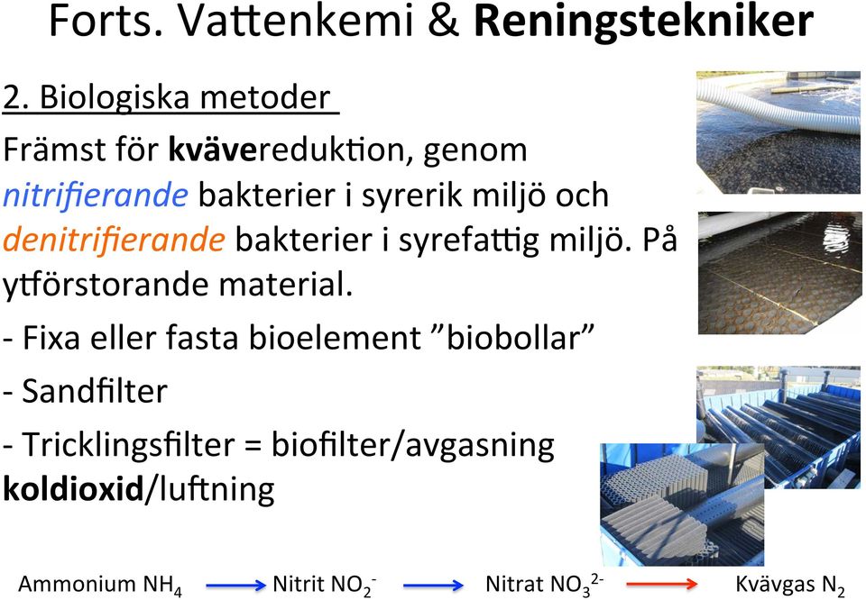 och denitrifierande bakterier i syrefaig miljö. På yjörstorande material.