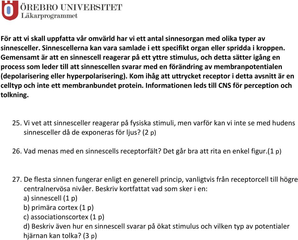 hyperpolarisering). Kom ihåg att uttrycket receptor i detta avsnitt är en celltyp och inte ett membranbundet protein. Informationen leds till CNS för perception och tolkning. 25.