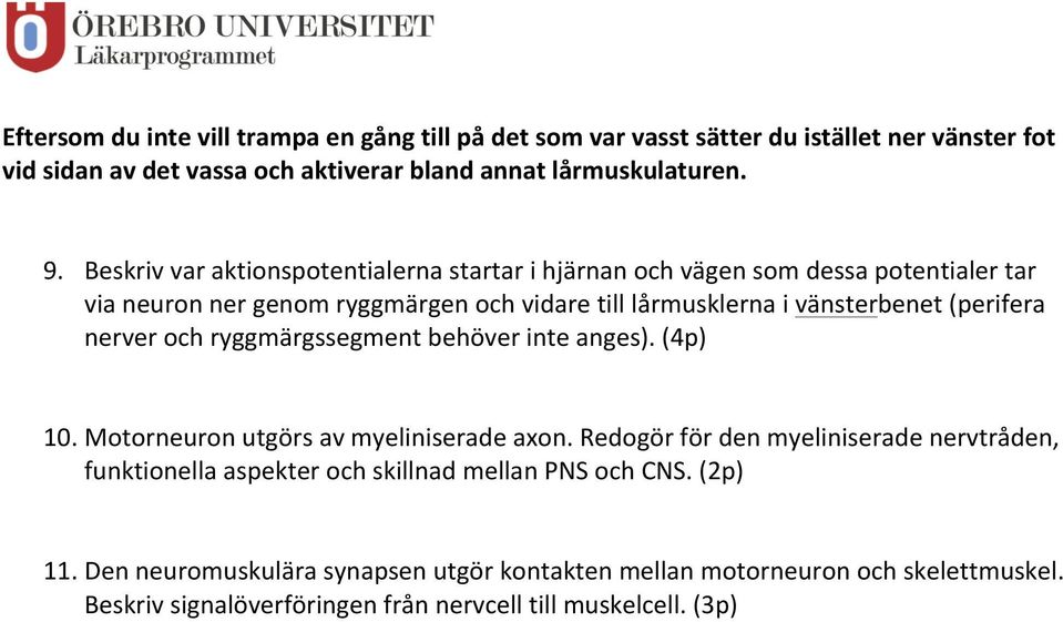 nerver och ryggmärgssegment behöver inte anges). (4p) 10. Motorneuron utgörs av myeliniserade axon.