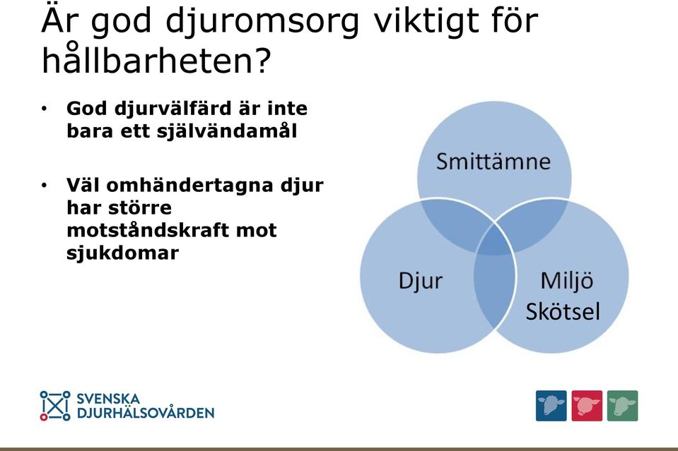 God djurvälfärd är inte bara ett