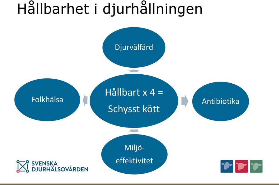 Hållbart x 4 = Schysst kött