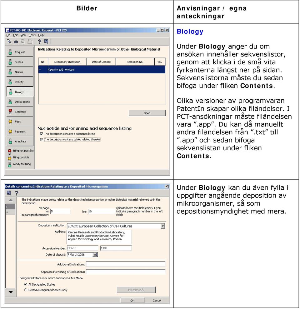 I PCT-ansökningar måste filändelsen vara.app. Du kan då manuellt ändra filändelsen från.txt till.