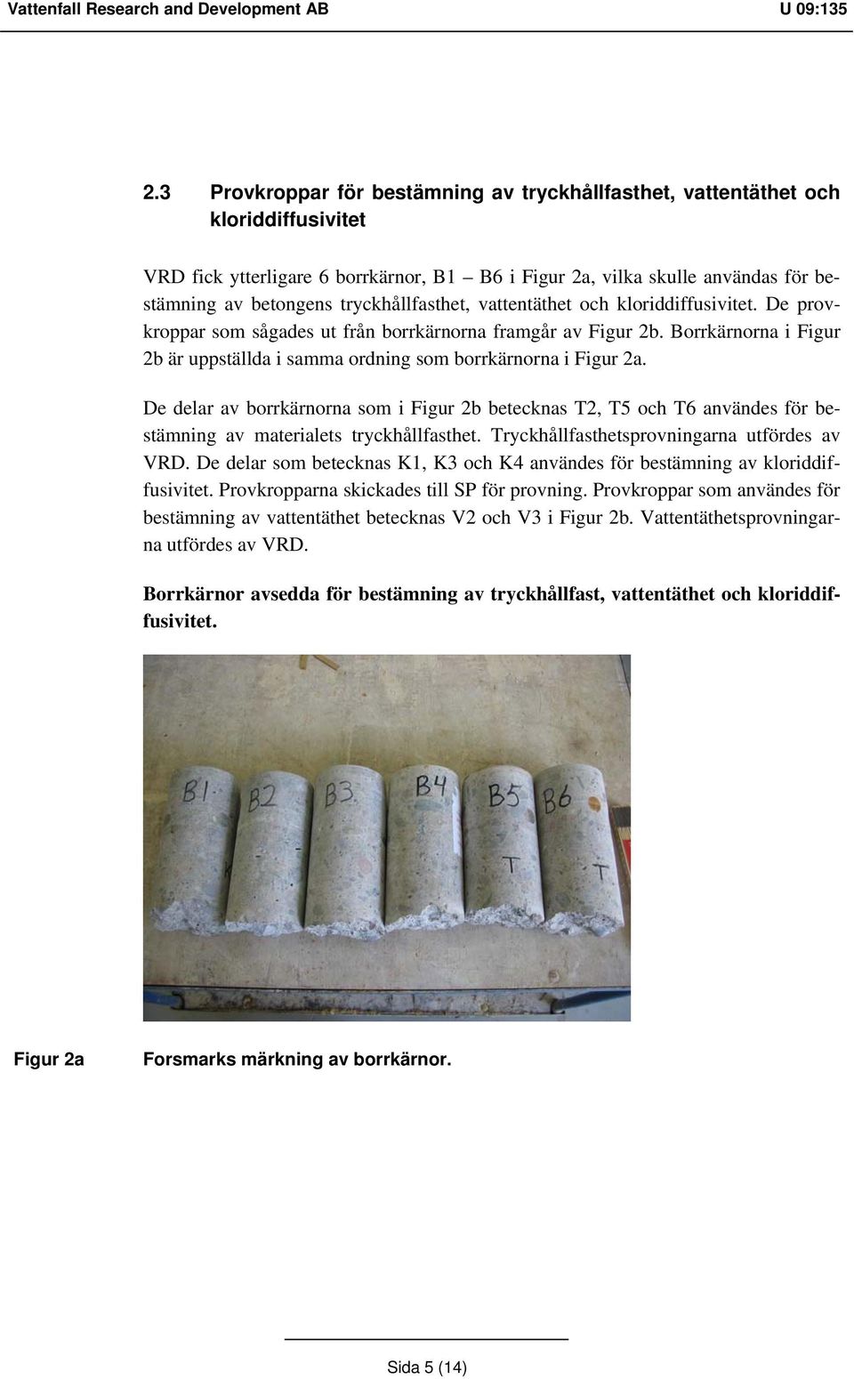 tryckhållfasthet, vattentäthet och kloriddiffusivitet. De provkroppar som sågades ut från borrkärnorna framgår av Figur 2b.