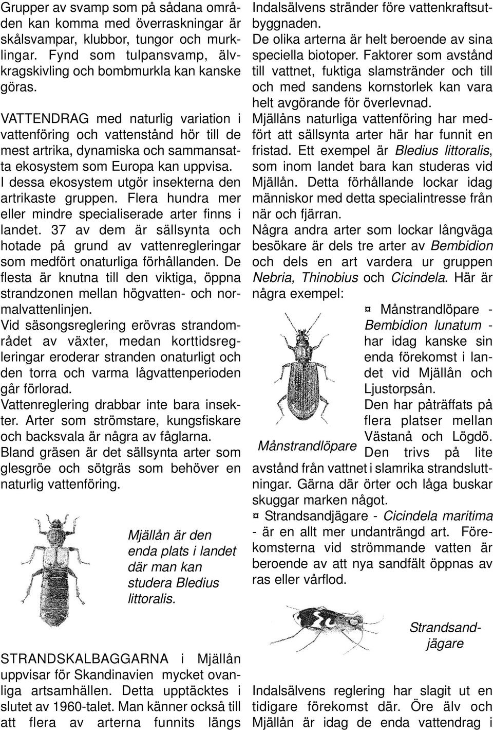 I dessa ekosystem utgör insekterna den artrikaste gruppen. Flera hundra mer eller mindre specialiserade arter finns i landet.