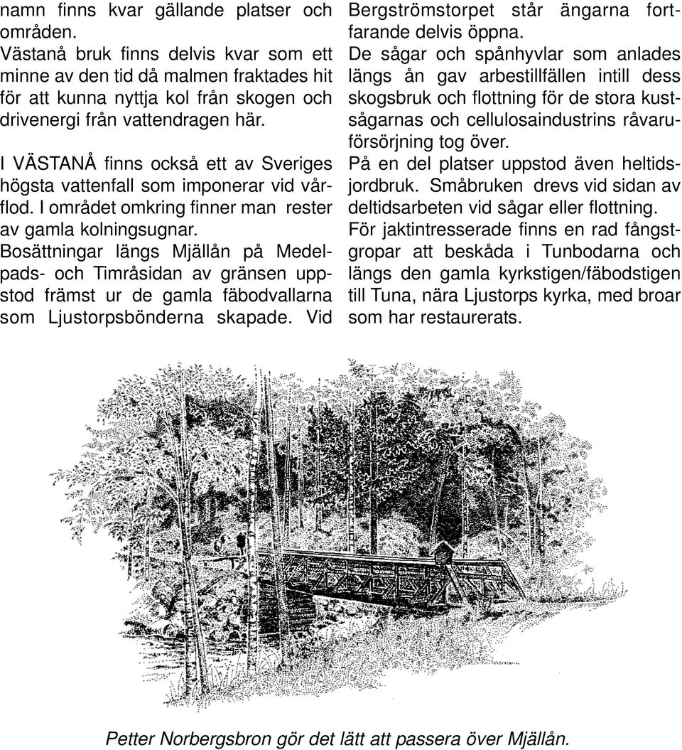 Bosättningar längs Mjällån på Medelpads- och Timråsidan av gränsen uppstod främst ur de gamla fäbodvallarna som Ljustorpsbönderna skapade. Vid Bergströmstorpet står ängarna fortfarande delvis öppna.
