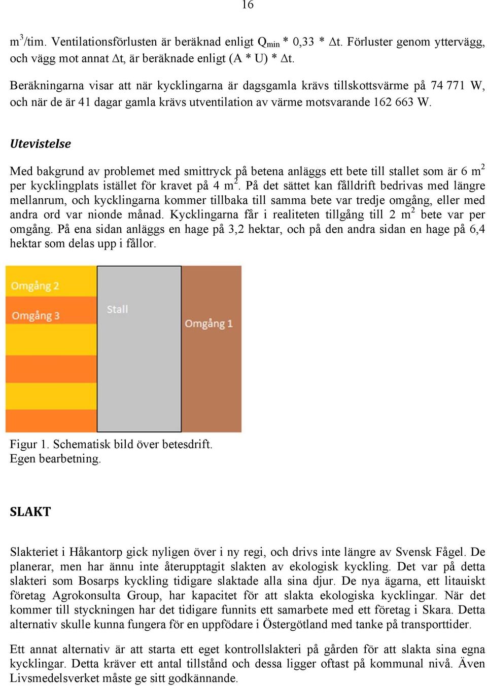 Utevistelse Med bakgrund av problemet med smittryck på betena anläggs ett bete till stallet som är 6 m 2 per kycklingplats istället för kravet på 4 m 2.