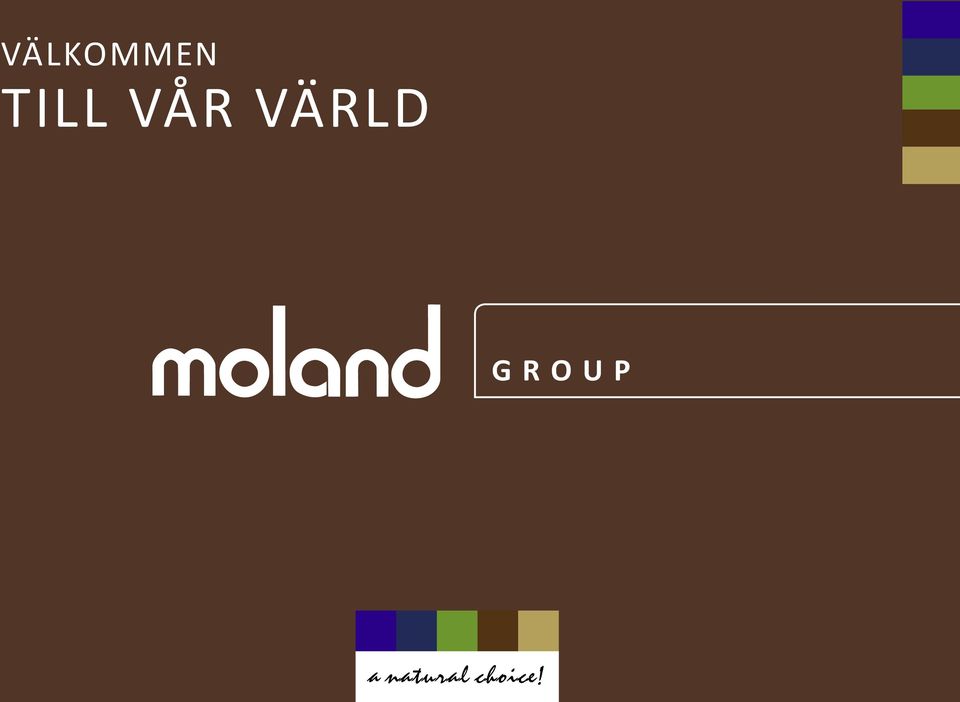 VÄRLD GROUP