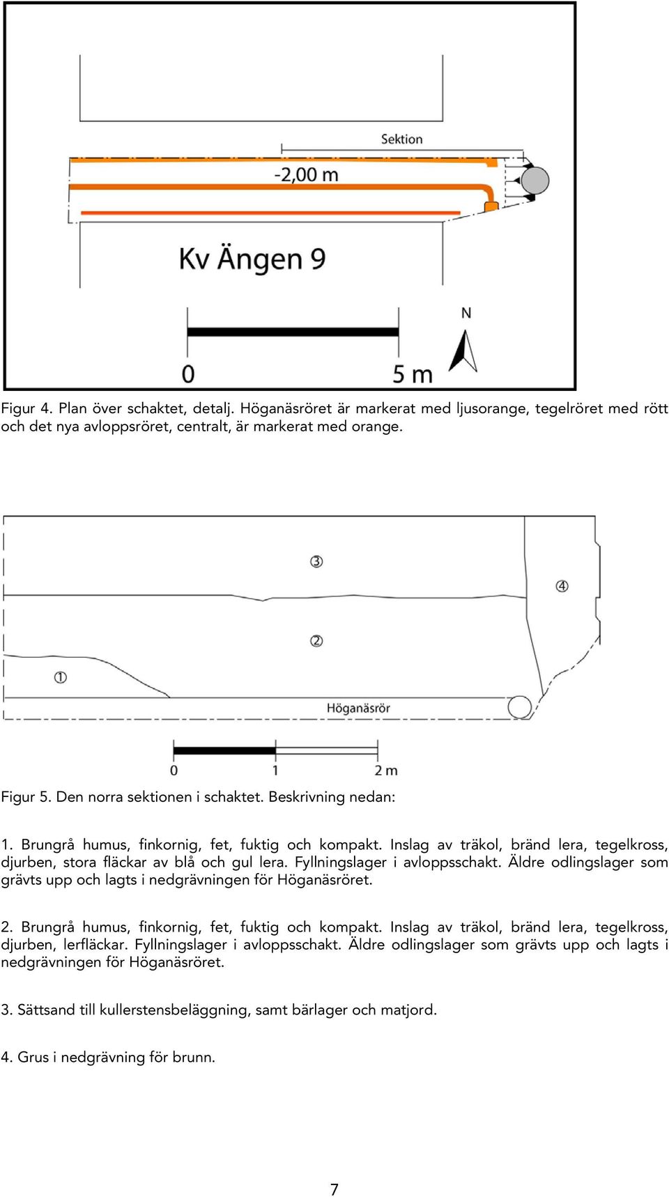 Äldre odlingslager som grävts upp och lagts i nedgrävningen för Höganäsröret. 2. Brungrå humus, finkornig, fet, fuktig och kompakt. Inslag av träkol, bränd lera, tegelkross, djurben, lerfläckar.