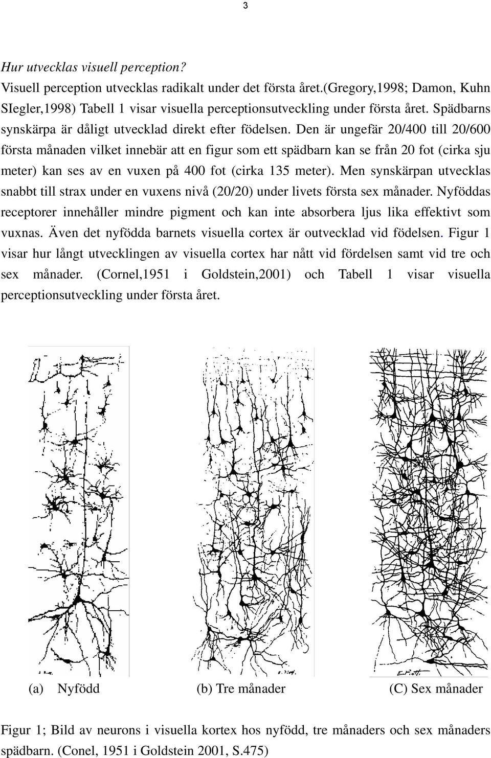 Den är ungefär 20/400 till 20/600 första månaden vilket innebär att en figur som ett spädbarn kan se från 20 fot (cirka sju meter) kan ses av en vuxen på 400 fot (cirka 135 meter).