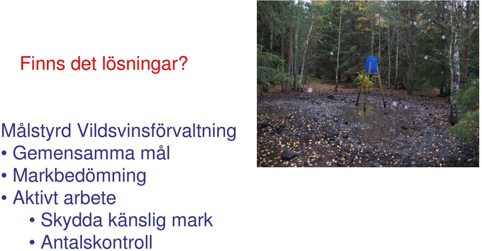 Gemensamma mål Markbedömning