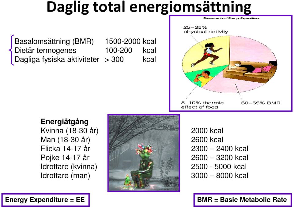 Flicka 14-17 år Pojke 14-17 år Idrottare (kvinna) Idrottare (man) 2000 kcal 2600 kcal 2300